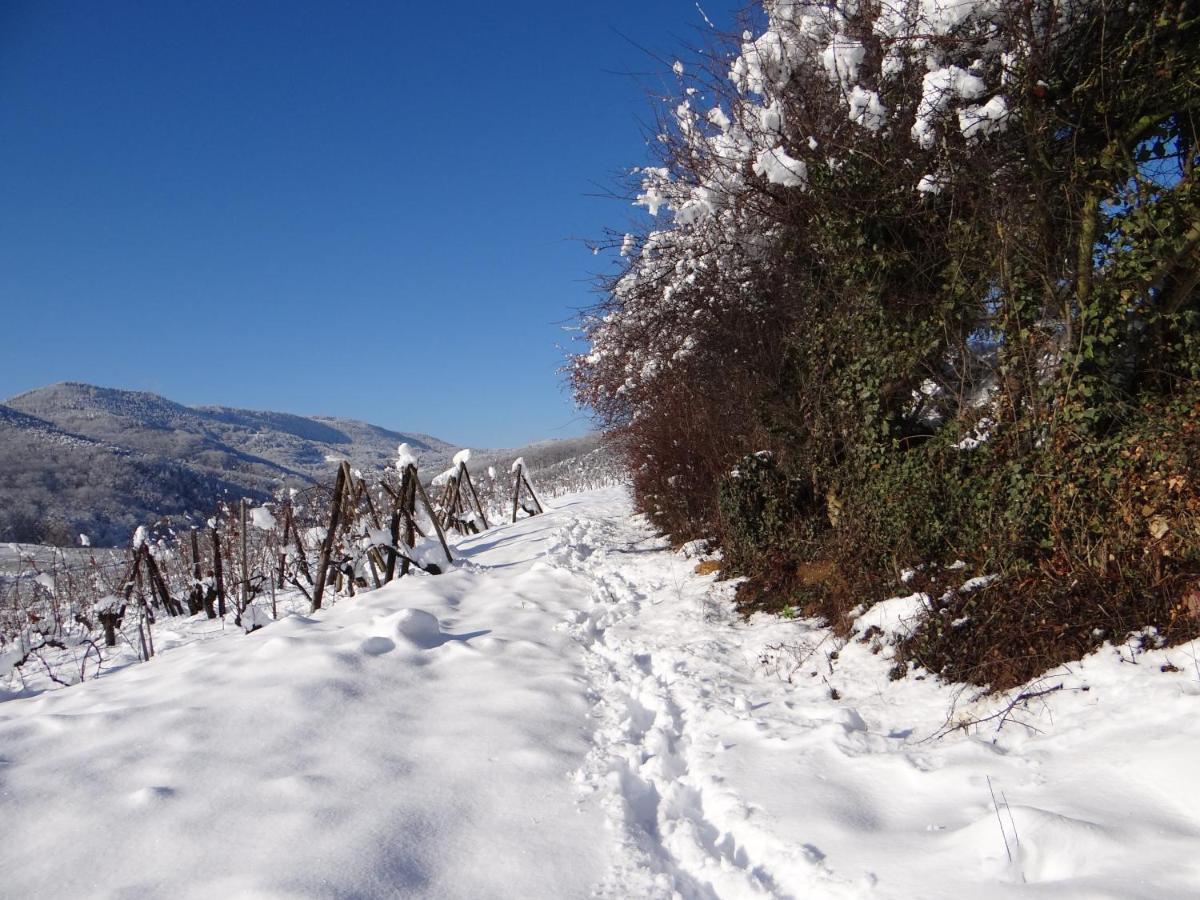 Appartamento Au Coeur Des Vignes Bergheim Esterno foto