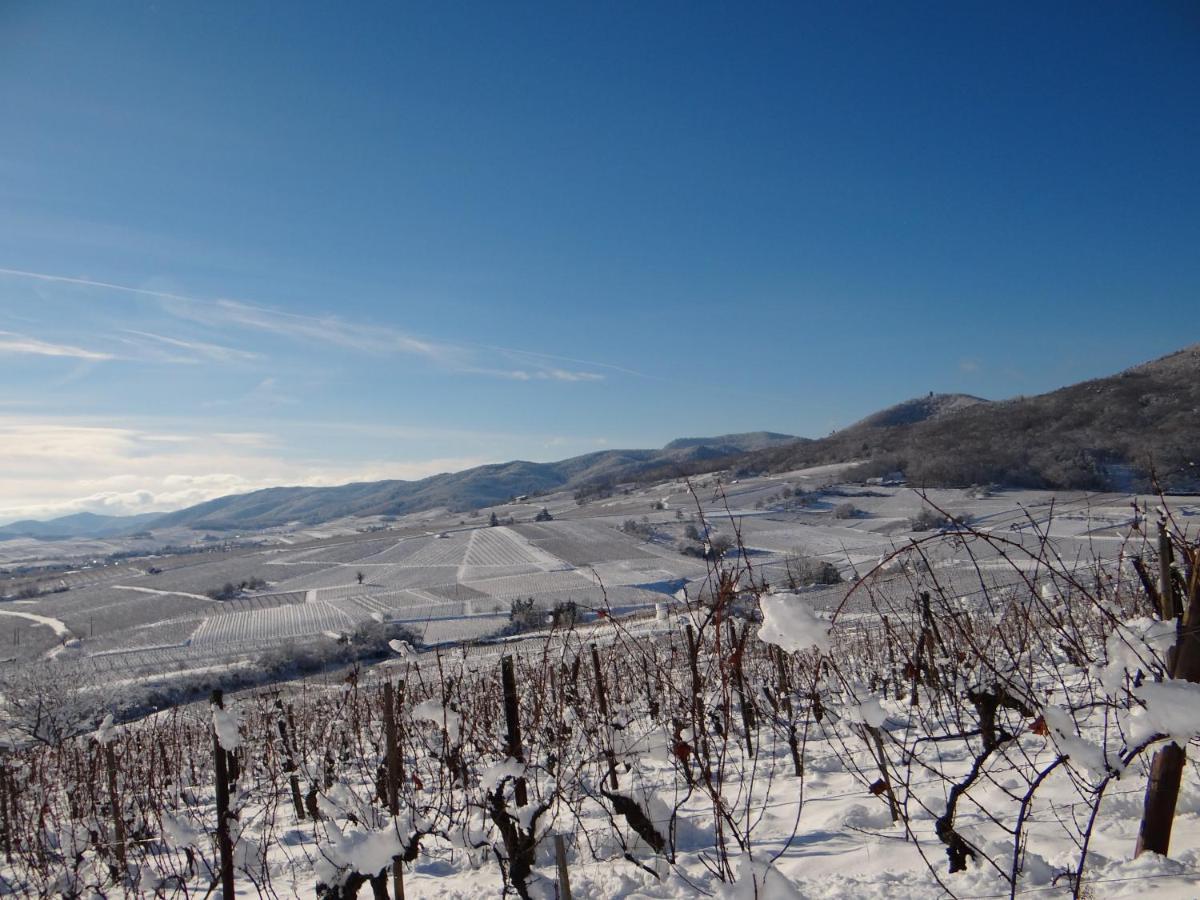 Appartamento Au Coeur Des Vignes Bergheim Esterno foto