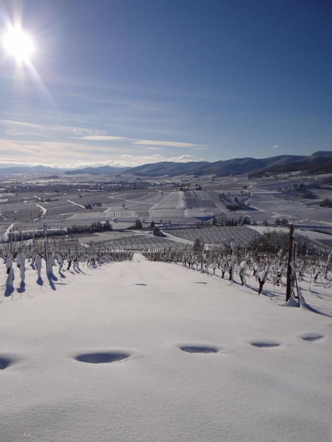 Appartamento Au Coeur Des Vignes Bergheim Esterno foto