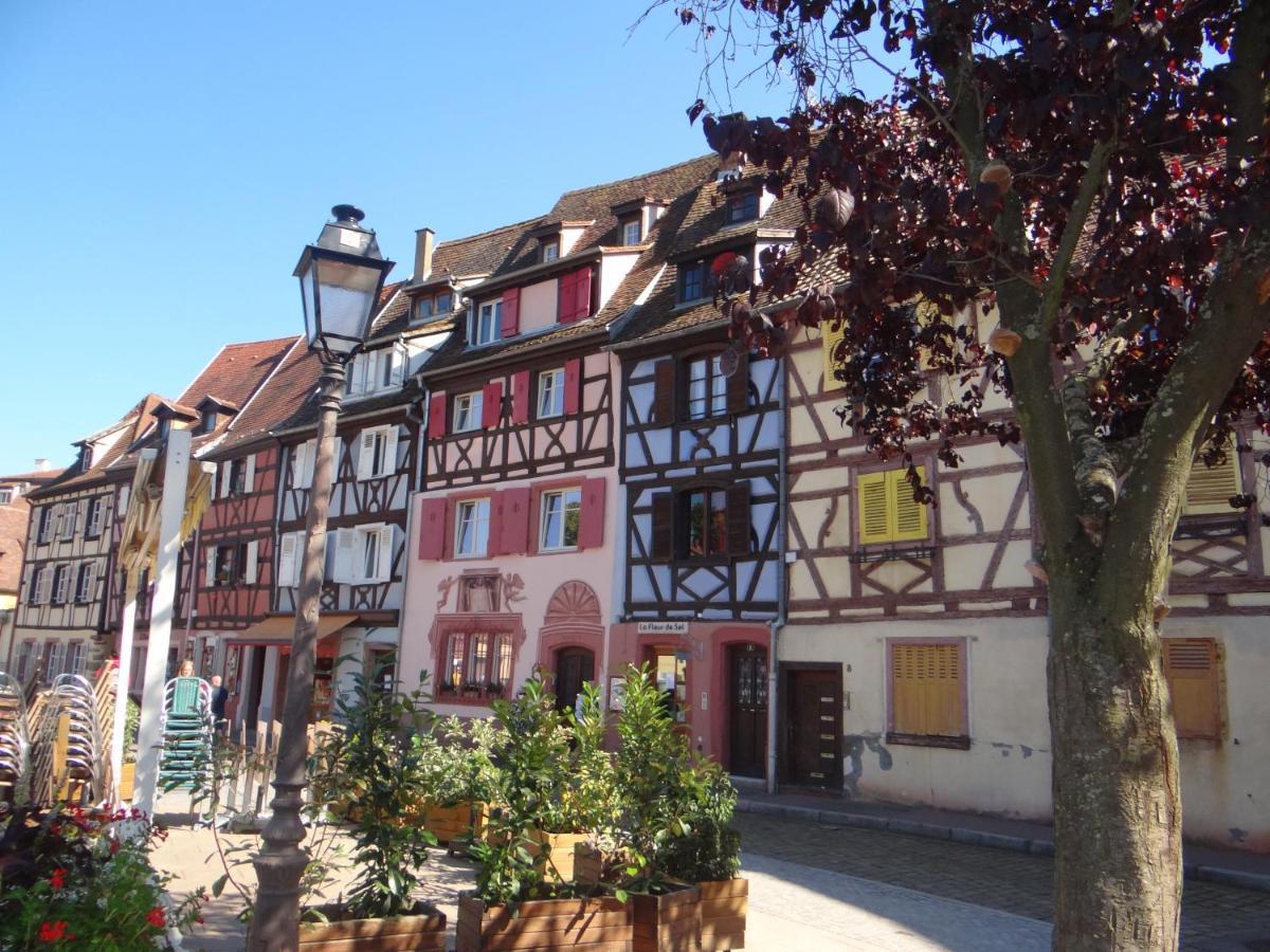 Appartamento Au Coeur Des Vignes Bergheim Esterno foto