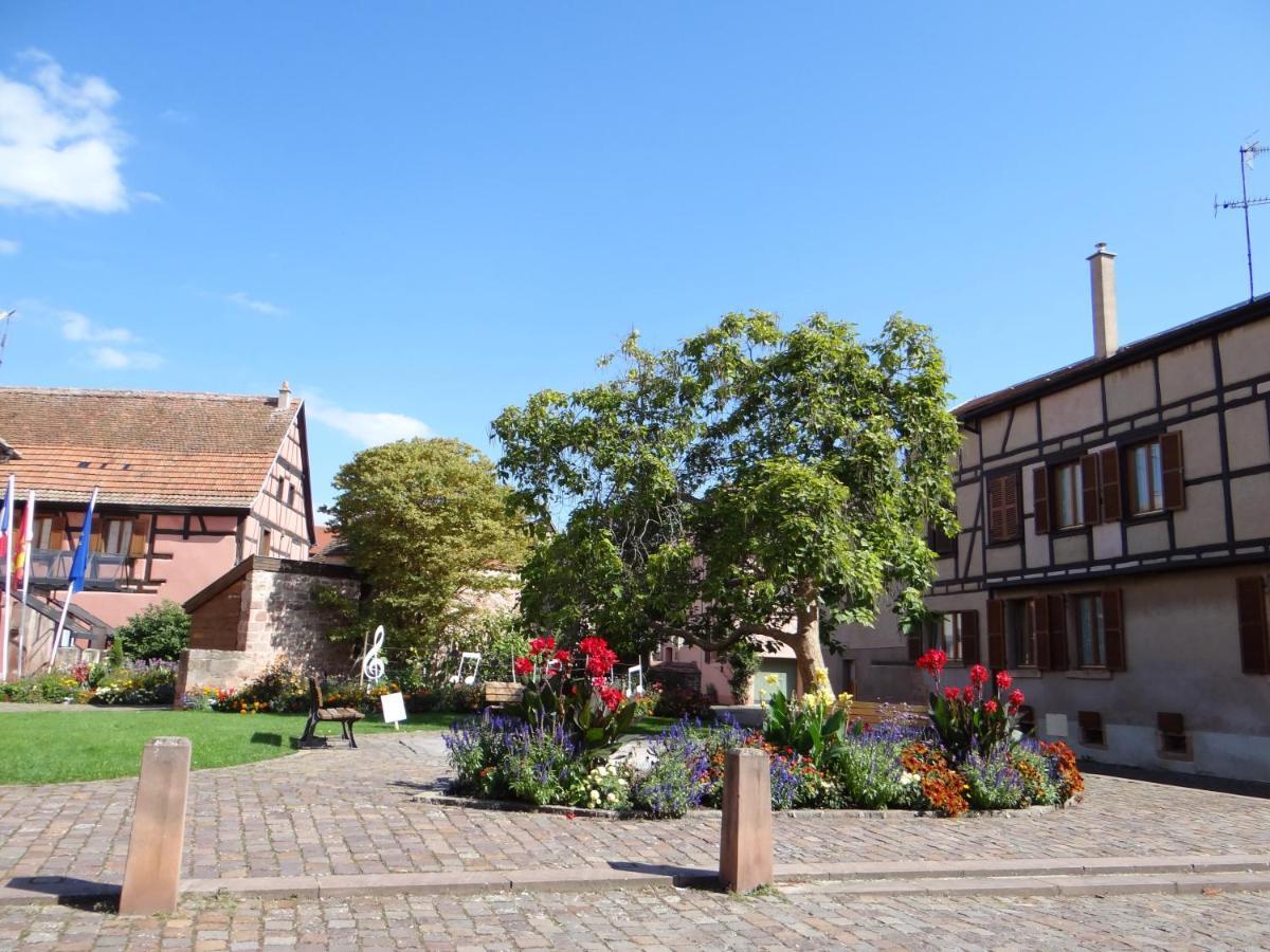 Appartamento Au Coeur Des Vignes Bergheim Esterno foto