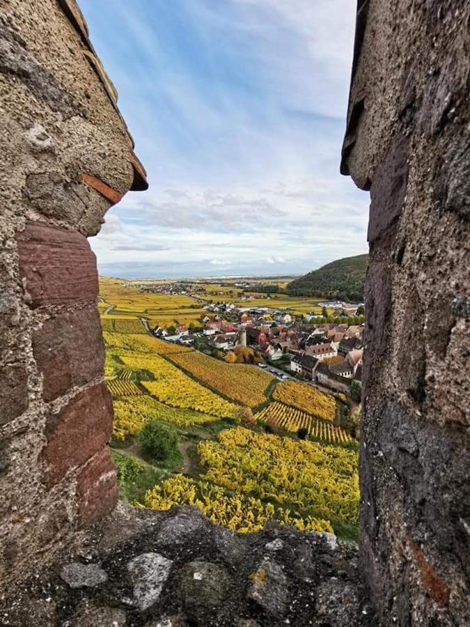 Appartamento Au Coeur Des Vignes Bergheim Esterno foto